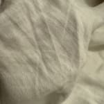 User submitted media 2 of 2