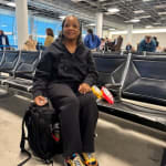 User submitted media