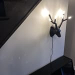 User submitted media