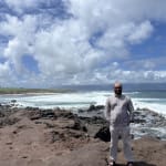 User submitted media