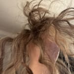 User submitted media