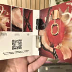 User submitted media