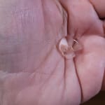 User submitted media 2 of 2