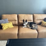 User submitted media