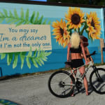 Roam 3 Disc 21 Men Adventure Bike Giant Bicycles United States