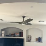 User submitted media