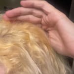 User submitted media