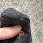 User submitted media