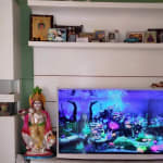 User submitted media