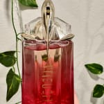 User submitted media