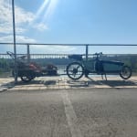 Surly Bill Trailer (hitch sold separately) Western Cycle