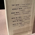 User submitted media 1 of 2