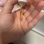 User submitted media 2 of 3