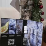 User submitted media