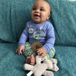 User submitted media