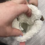 User submitted media