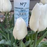 User submitted media 1 of 4