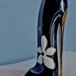 User submitted media