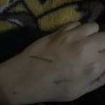 User submitted media