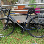 All city space new arrivals horse 2021