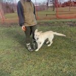 User submitted media 1 of 2