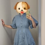 User submitted media