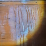 Bluebell fern and sale birch thermal hutch cover