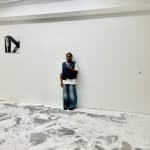 User submitted media