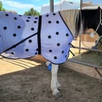 68,70,72,74,76,78,80,82,84,86 NOW IN BLUE! Dura-Tech Magnetic Horse Sheet 
