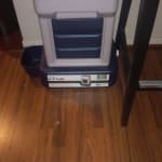 K9 cafe dog feeder sale