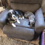 User submitted media