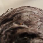 User submitted media 4 of 8