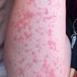 User submitted media