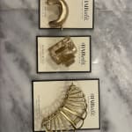 User submitted media 2 of 2