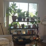 Round Burnt Alder and Metal Bookshelf