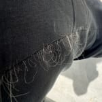 User submitted media 2 of 2