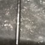 User submitted media