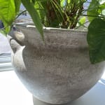 Delphine Ivory Terracotta Urn Outdoor Planter