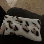 User submitted media