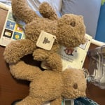 User submitted media