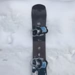 Burton Family Tree Dump Truck Snowboard 2018 | evo
