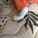 User submitted media