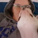 User submitted media