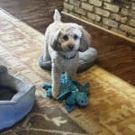 User submitted media 1 of 2