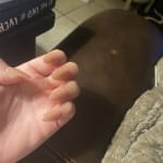 User submitted media