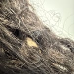 User submitted media 3 of 3