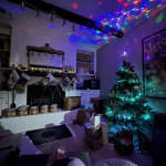 Green Faux Norfolk Pine Pre Lit LED Battery Operated Garland