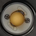 User submitted media 2 of 2