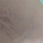 User submitted media 1 of 2