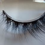 User submitted media 1 of 2